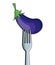 Eggplant fork fresh image