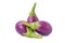 Eggplant. Fresh light purple eggplant isolated