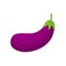 Eggplant fresh vegetable icon. Healthy food tasty juicy symbol.
