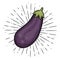 Eggplant. Hand drawn vector illustration with eggplant and divergent rays. Used for poster, banner, web, t-shirt print
