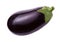 Eggplant Isolated with clipping path