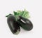 Eggplant,lettuce and parsley on a white background