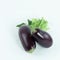 Eggplant,lettuce and parsley on a white background