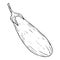 Eggplant, or nightshade black-and-white sketch sketch line isolated on a white background