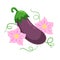 Eggplant. Pink flowers and stem with green tendrils. Flowering of vegetable.