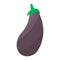 eggplant purple food vegetable health element icon