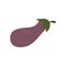 Eggplant. Purple vegetable. Colorful vector. Violet aubergine. Harvest