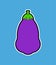 Eggplant Purple Vegetable isolated. Food vector illustration