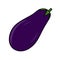 Eggplant. Purple vegetable. Natural vegan food.