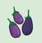 Eggplant purple vegetable vector design
