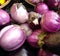 Eggplant, Sicilian Eggplant, Greenmarket, Union Square, NYC, NY, USA