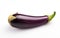 Eggplant Snapshot on White Background