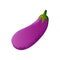 Eggplant vector illustration