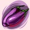 Eggplant. Vector illustration. A pair of ripe large eggplant.