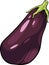 Eggplant vegetable cartoon illustration