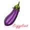 Eggplant vegetable sketch isolated icon