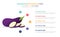Eggplant vegetables infographic template with 5 colorfull bullet number description