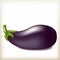 Eggplant of violet color, tasty ripe vegetable,