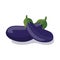 Eggplant violete icon.