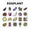 Eggplant Vitamin Bio Vegetable Icons Set Vector