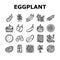 Eggplant Vitamin Bio Vegetable Icons Set Vector