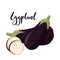 Eggplant whole realistic image. Vector illustration isolated on white background.