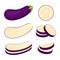 Eggplant, whole vegetable, half, slices, vector illustration