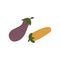 Eggplant and zucchini. Purple and yellow vegetables. Colorful vector. Harvest