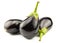 Eggplants on white background