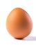 Eggquisite Beauty: Single Chicken Egg in Isolation