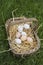 Eggs In Basket