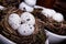 Eggs in Birds Nest in decorative white dish.  Three Quail Easter Eggs with rustic look