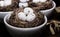 Eggs in Birds Nest in decorative white dish.  Three Quail Easter Eggs with rustic look