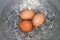 Eggs, Boiled egg in the pan, Raw Egg Reddish yellow in Hot water is boiling cooking Selective Focus