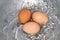 Eggs, Boiled egg in the pan, Raw Egg Reddish yellow in Hot water is boiling cooking Selective Focus