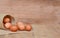 Eggs brown chicken background