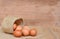 Eggs brown chicken background