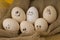 Eggs with different emotions in tray . yellow background