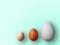 Eggs of different size on color azure background. High quality photos. Chicken, quail and ostrich eggs. Colored eggs for easter