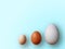 Eggs of different size on color blue background. High quality photos. Chicken, quail and ostrich eggs. Colored eggs for easter