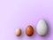 Eggs of different size on color purple background. High quality photos. Chicken, quail and ostrich eggs. Colored eggs for easter