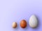 Eggs of different size on color violet background. High quality photos. Chicken, quail and ostrich eggs. Colored eggs for easter