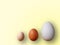 Eggs of different size on color yellow background. High quality photos. Chicken, quail and ostrich eggs. Colored eggs for easter
