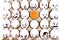 Eggs with drawn cartoon faces and one broken egg in tray.