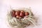 eggs, Easter, brown, Easter eggs, nest, beige background