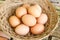 Eggs and ester wood basket background