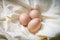 Eggs on fabric background