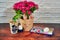 Eggs, a flowerpot with a rabbit`s face and a paint box