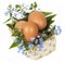 Eggs and forget-me-nots