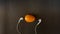 Eggs and headphones symbol on black background
